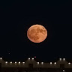 Meet your Posher, Maegon